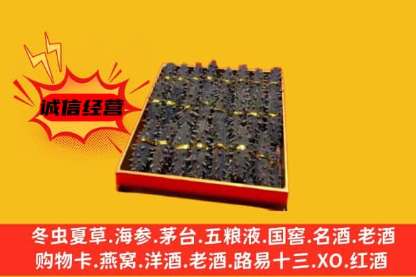 百色市田林回收海参